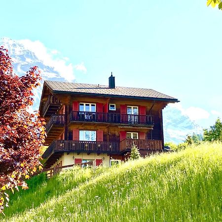 Apartments Chalet Tatyana Лойкербад Экстерьер фото